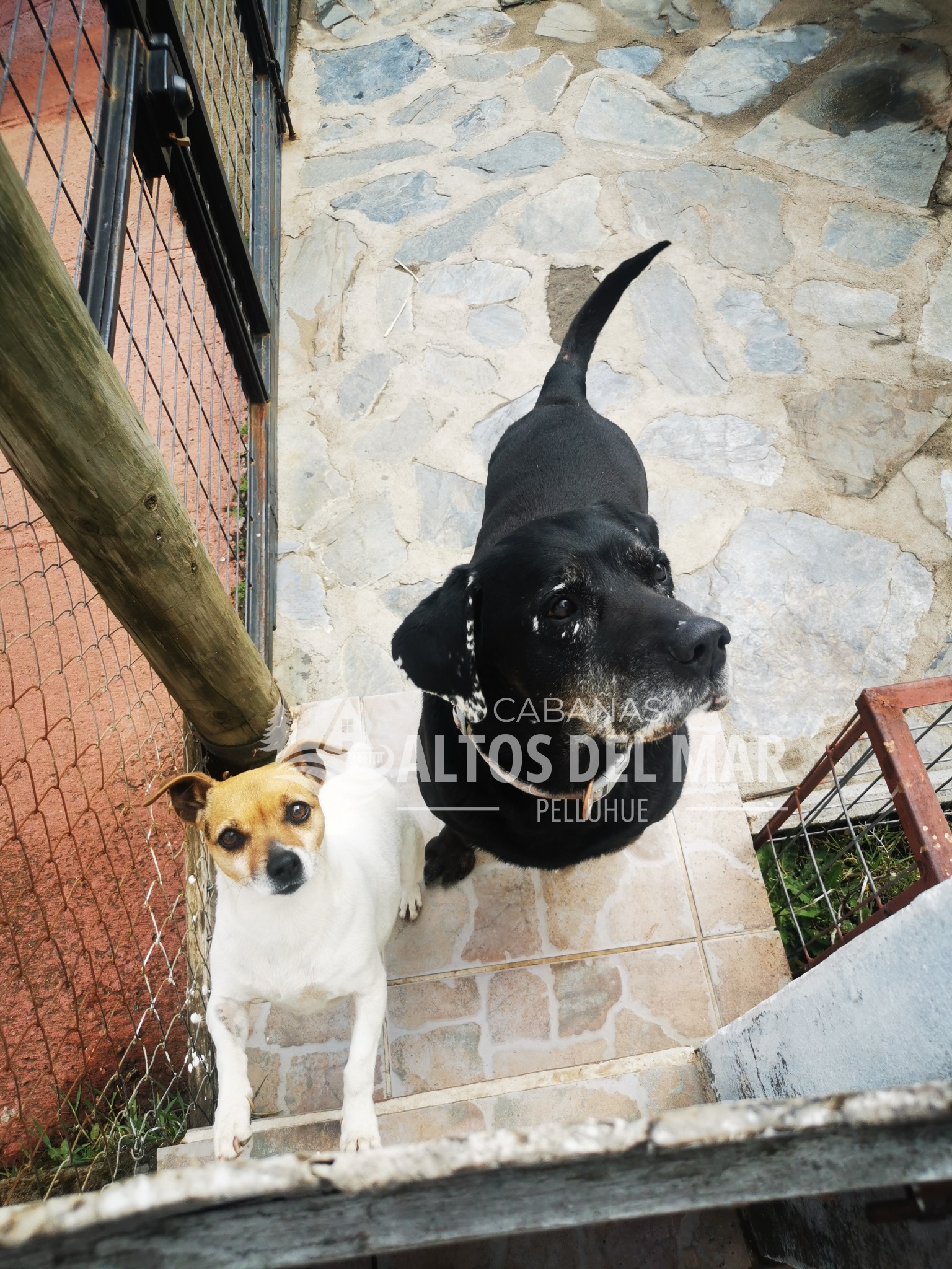 Nuestros Guardianes